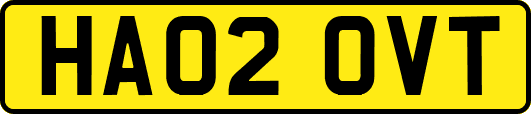 HA02OVT