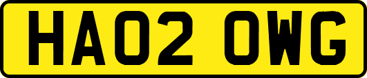 HA02OWG