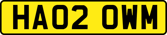 HA02OWM