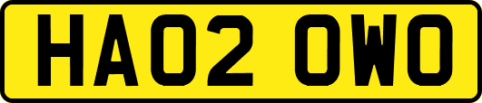 HA02OWO