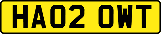 HA02OWT