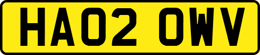 HA02OWV