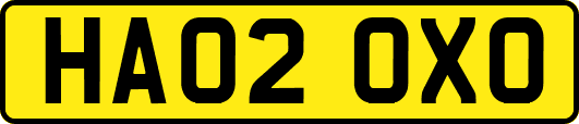 HA02OXO