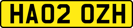 HA02OZH
