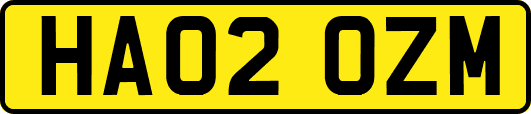 HA02OZM