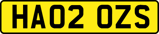 HA02OZS