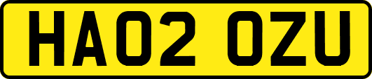 HA02OZU