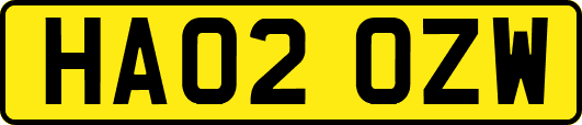 HA02OZW