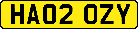 HA02OZY