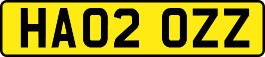 HA02OZZ