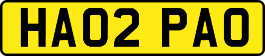 HA02PAO