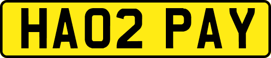 HA02PAY