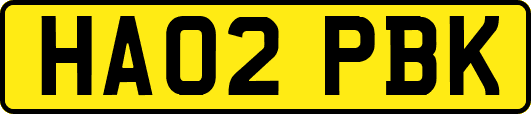 HA02PBK