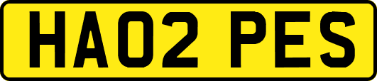 HA02PES
