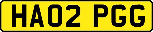HA02PGG