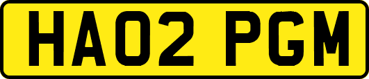 HA02PGM