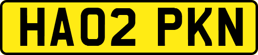 HA02PKN