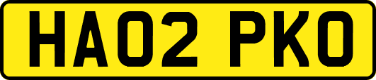 HA02PKO