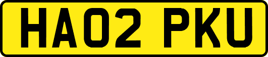 HA02PKU