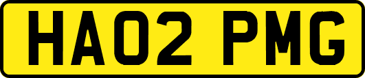 HA02PMG