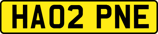 HA02PNE