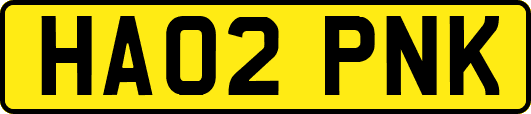 HA02PNK