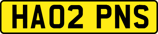 HA02PNS