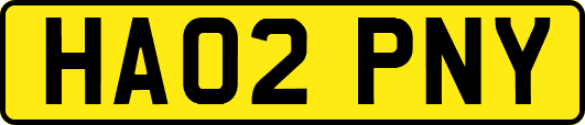 HA02PNY