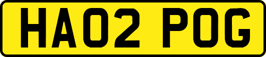 HA02POG