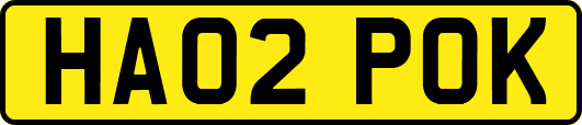 HA02POK