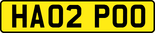 HA02POO