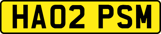 HA02PSM