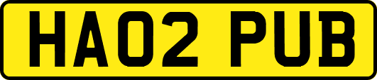 HA02PUB
