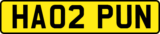 HA02PUN