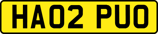 HA02PUO