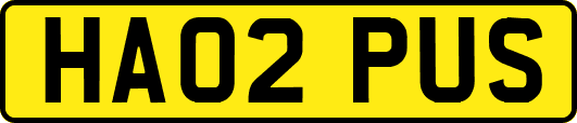 HA02PUS