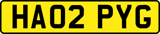 HA02PYG