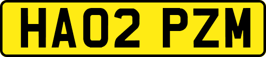 HA02PZM