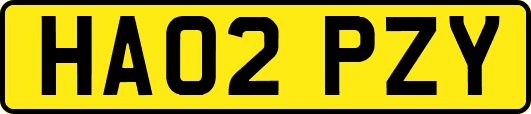 HA02PZY
