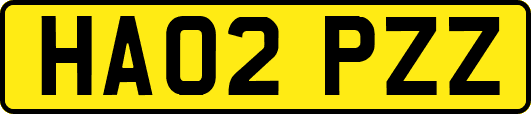 HA02PZZ