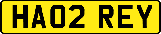 HA02REY