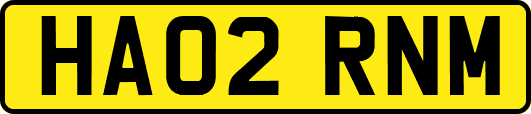 HA02RNM