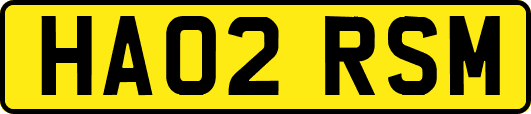 HA02RSM