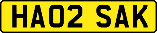 HA02SAK