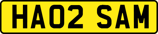HA02SAM