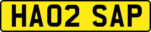 HA02SAP