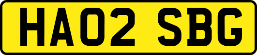 HA02SBG