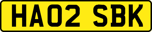 HA02SBK