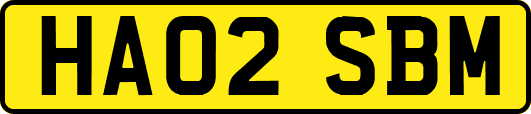 HA02SBM