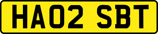 HA02SBT